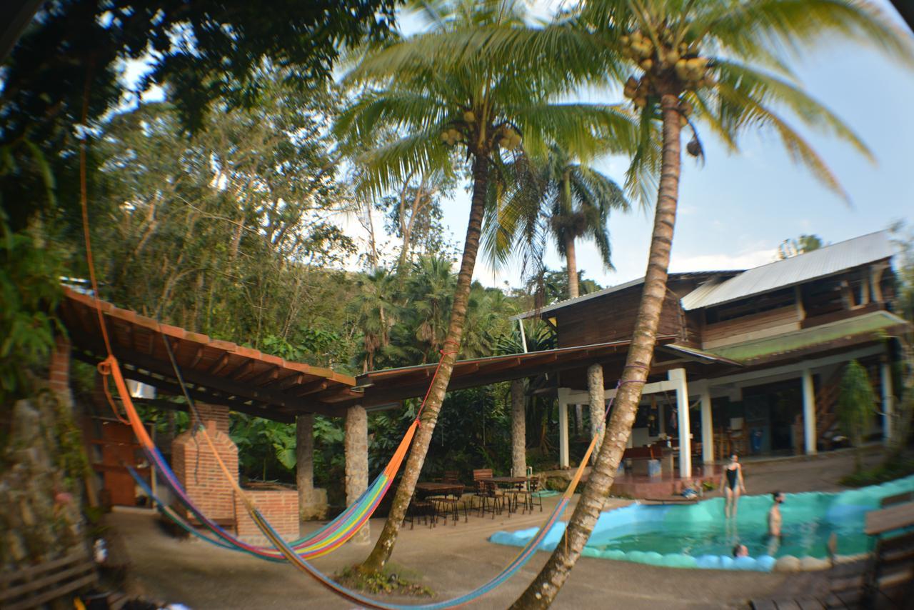 Omega Tours Eco-Jungle Lodge La Ceiba Bagian luar foto