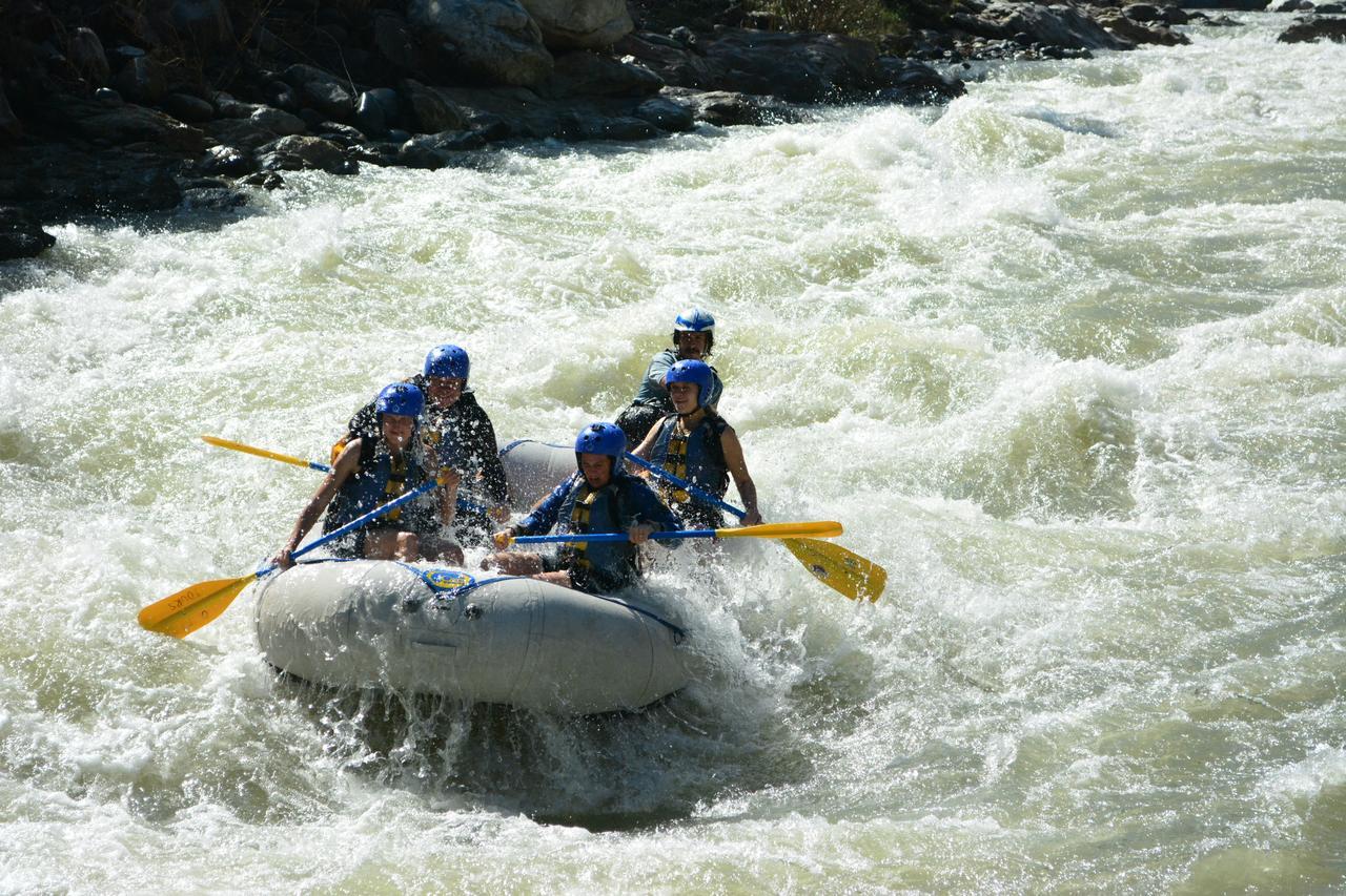 Omega Tours Eco-Jungle Lodge La Ceiba Bagian luar foto