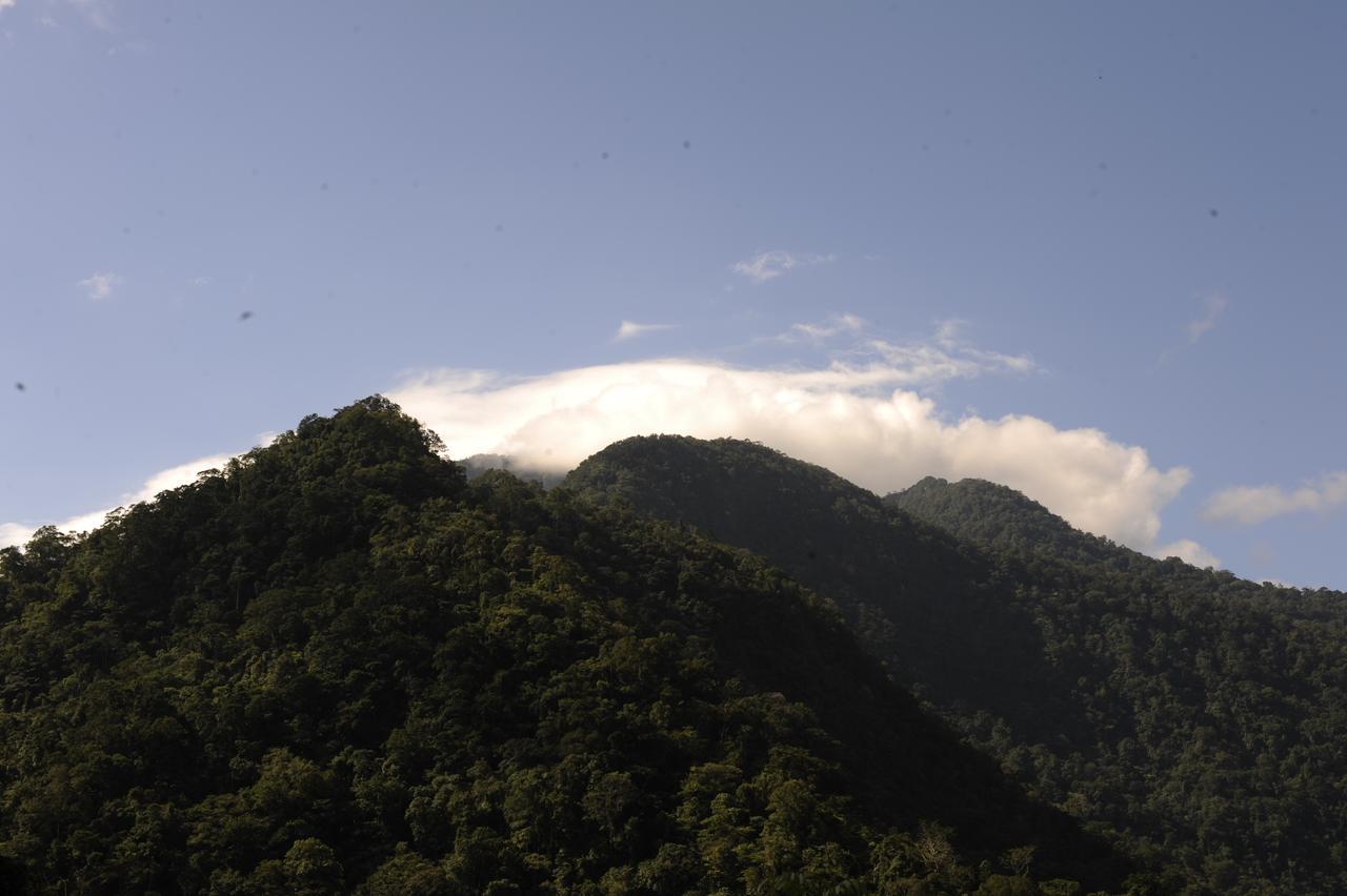Omega Tours Eco-Jungle Lodge La Ceiba Bagian luar foto