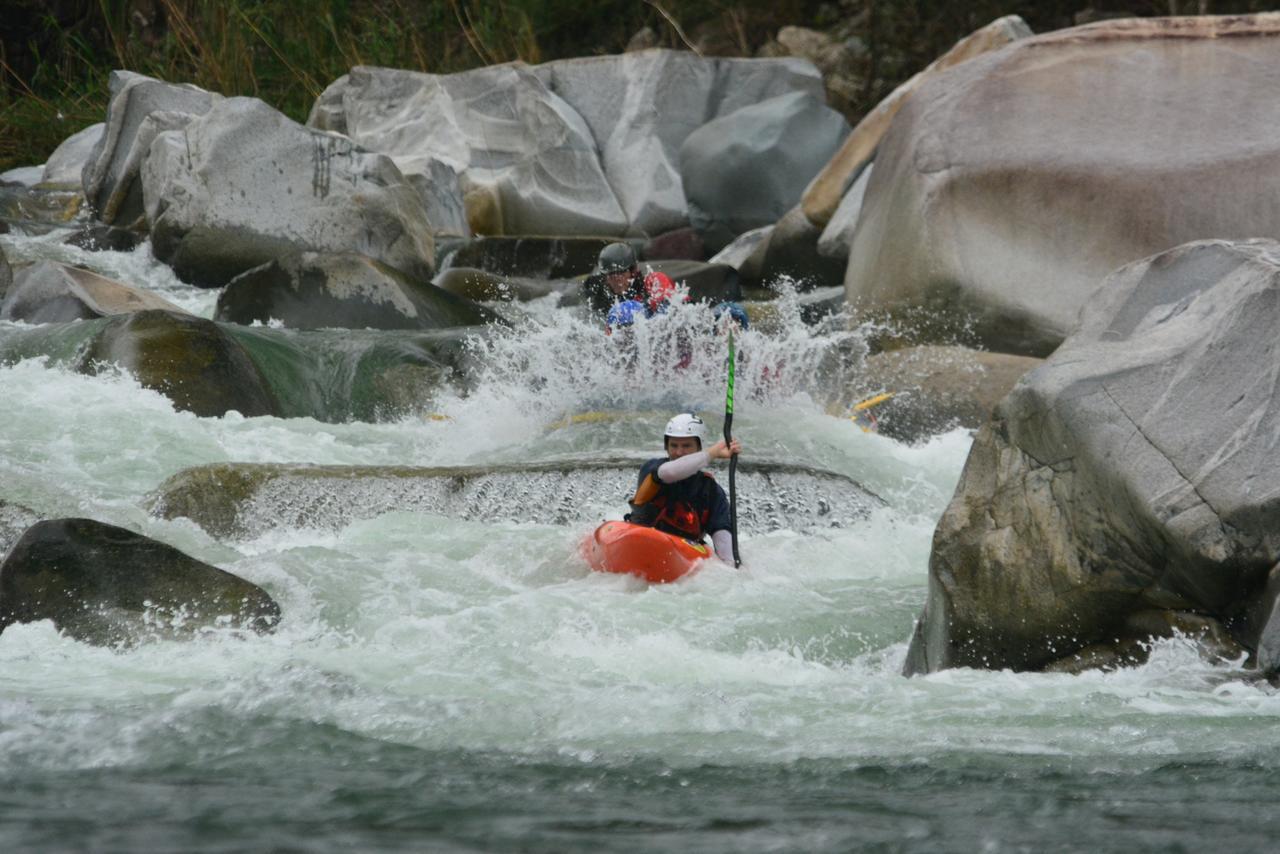 Omega Tours Eco-Jungle Lodge La Ceiba Bagian luar foto