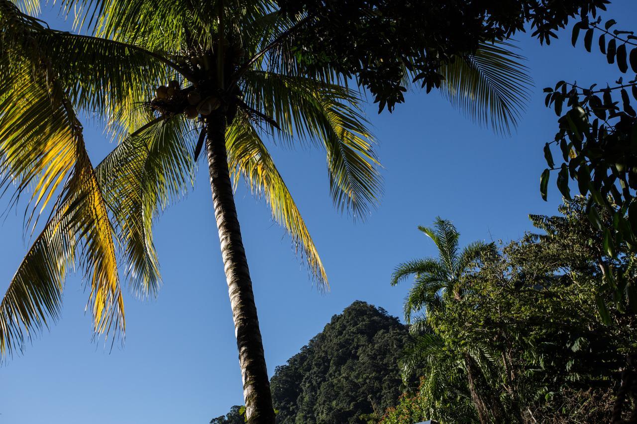 Omega Tours Eco-Jungle Lodge La Ceiba Bagian luar foto