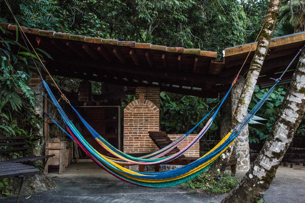 Omega Tours Eco-Jungle Lodge La Ceiba Bagian luar foto