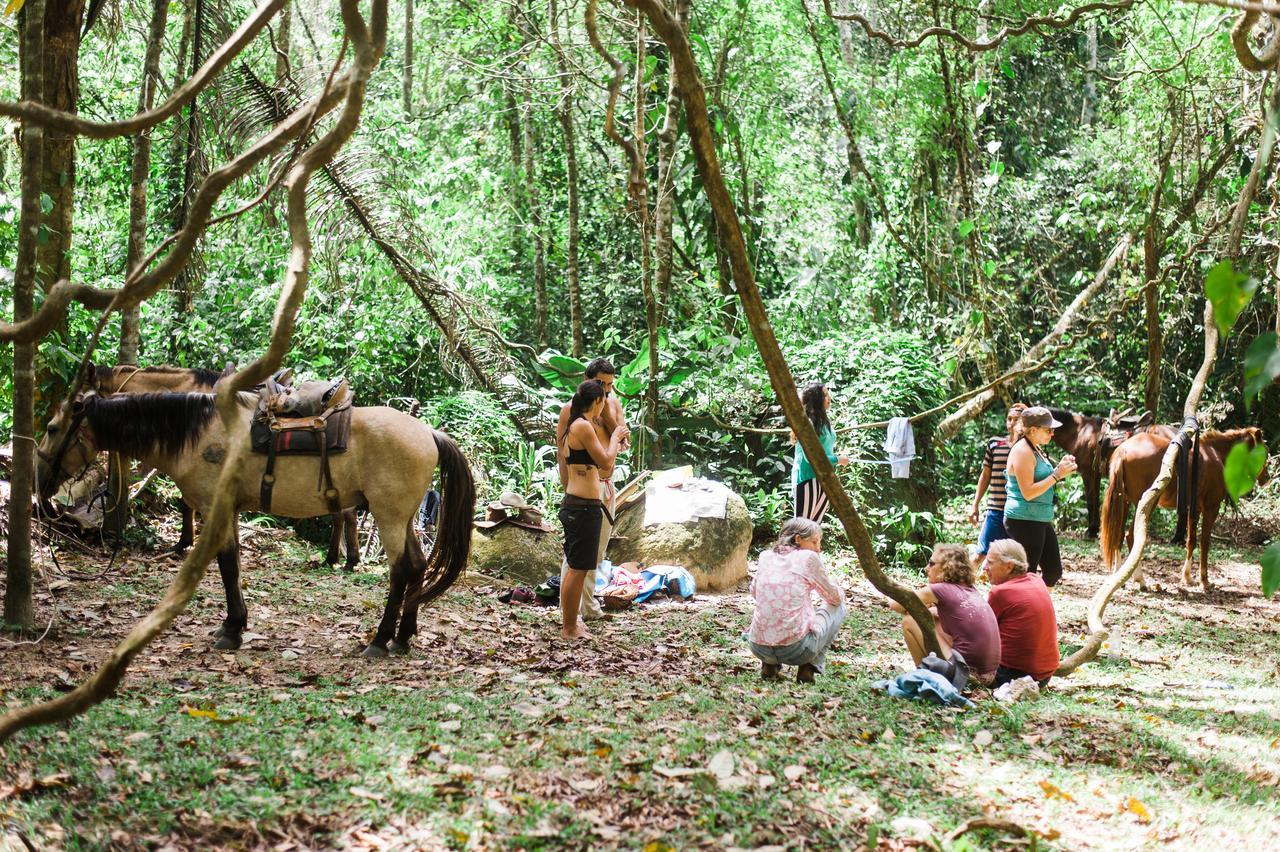 Omega Tours Eco-Jungle Lodge La Ceiba Bagian luar foto