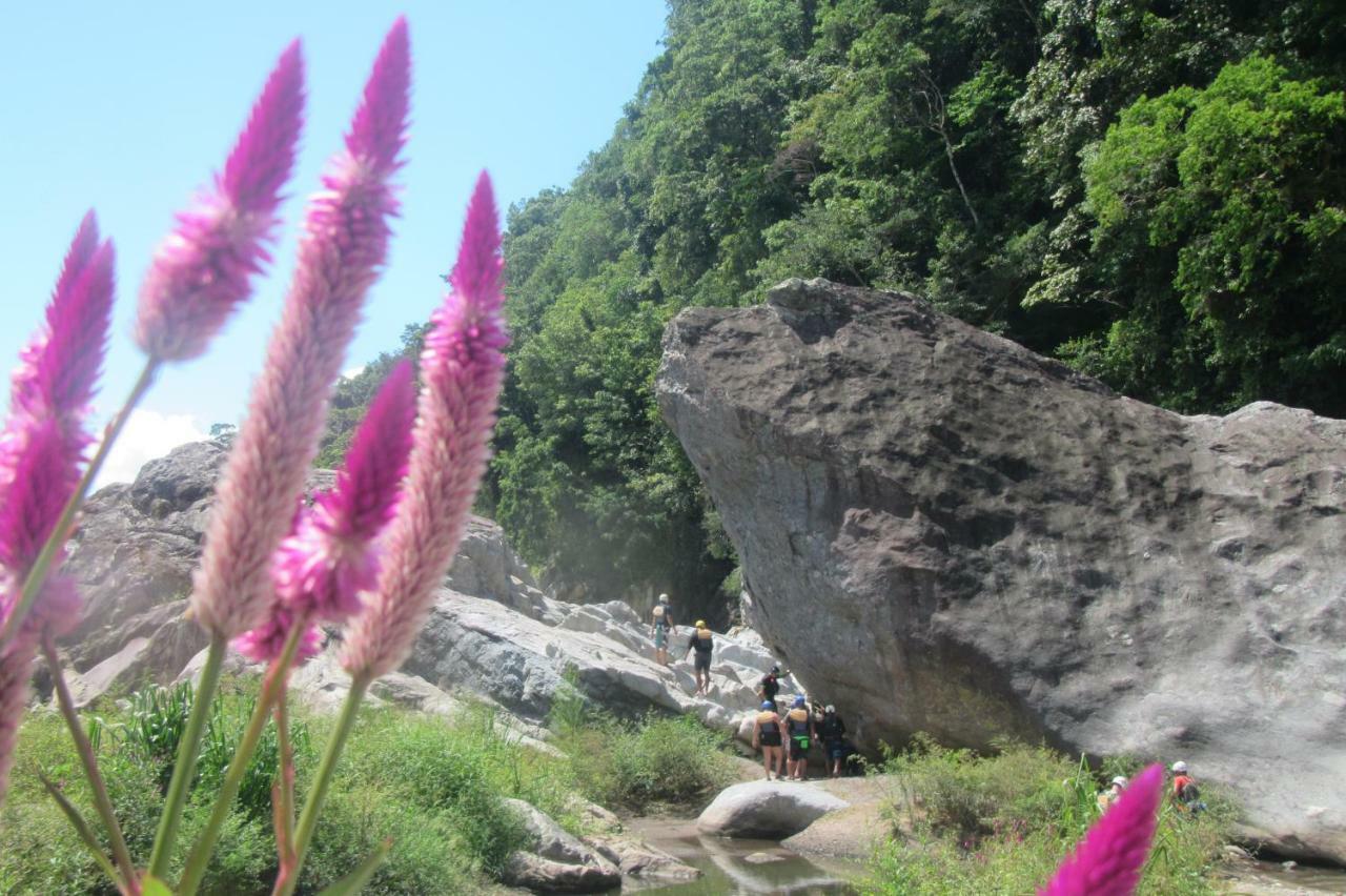 Omega Tours Eco-Jungle Lodge La Ceiba Bagian luar foto
